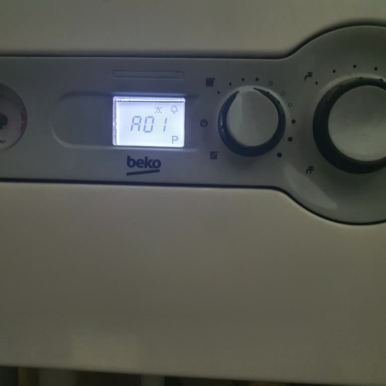 A01 Ateşleme Hatası Nedeniyle Sürekli Servis Ziyareti Ve Kombi Değişimi Talebi