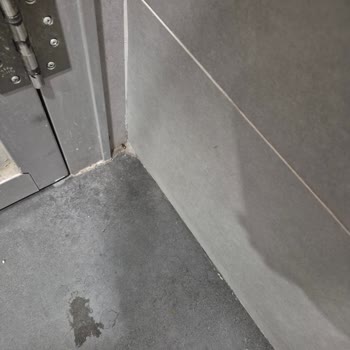Özdilek Antalya Kepez Çocuk Tuvaletinde Hijyen Sorunu Ve Hamam Böcekleri