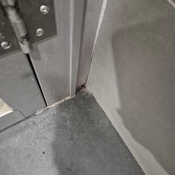 Özdilek Antalya Kepez Çocuk Tuvaletinde Hijyen Sorunu Ve Hamam Böcekleri