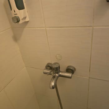 Assos Eden Beach Hotel Hijyen Koşulları Ve Yoğun Böcek Sorunu