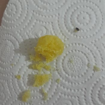 Cips Paketi İçindeki Böcek Kalite Kontrol İhmali Ve Hijyen Sorunu