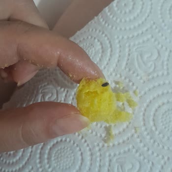 Cips Paketi İçindeki Böcek Kalite Kontrol İhmali Ve Hijyen Sorunu