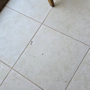Hijyen Sorunu Nedeniyle Erken Çıkış Ve Ücret İadesi Talebi