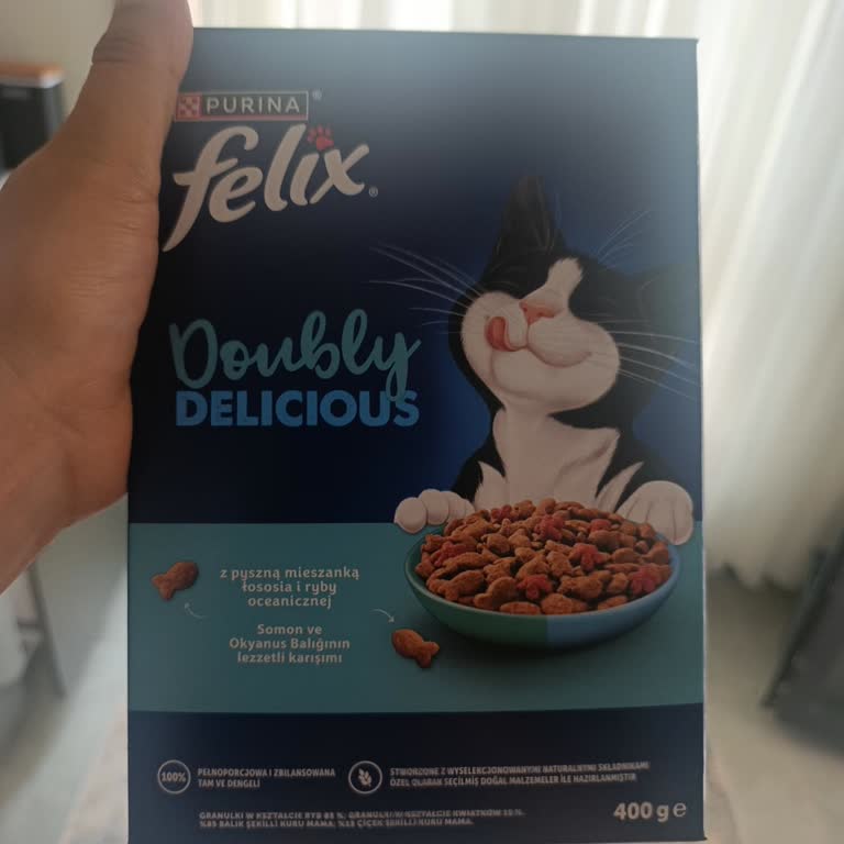 My Cat Started Vomiting After Eating Purina Felix Salmon Cat Food