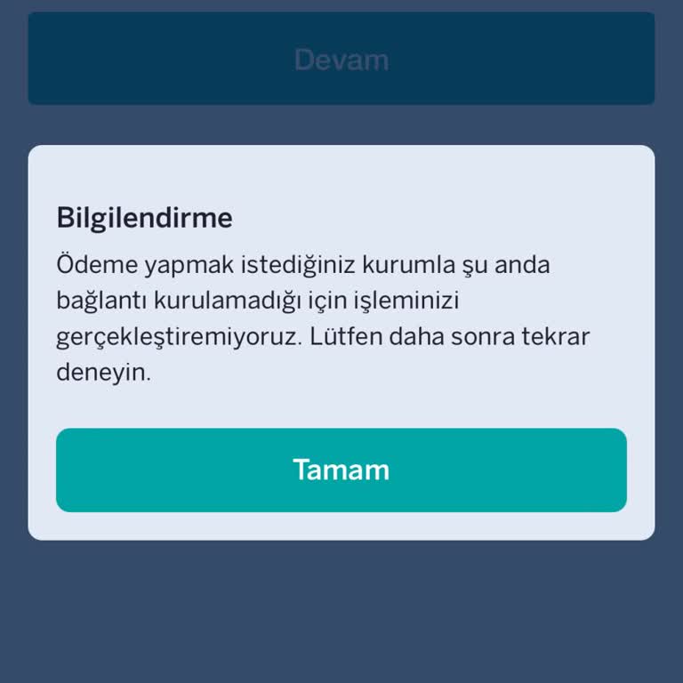 Sistem Hatası Nedeniyle Faturamı Ödeyemiyorum, Ceza Korkusu