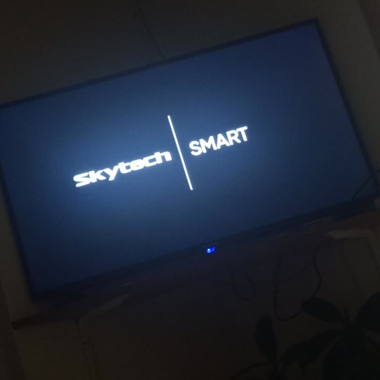 Skytech TV Açılış Ekranı Donuyor Ve Destek Talep Ediyorum