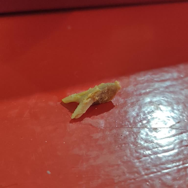 Mogaf Döner'de Sert Lavaş Ve Kemik Parçası: Kalite Ve Güven Sorunu