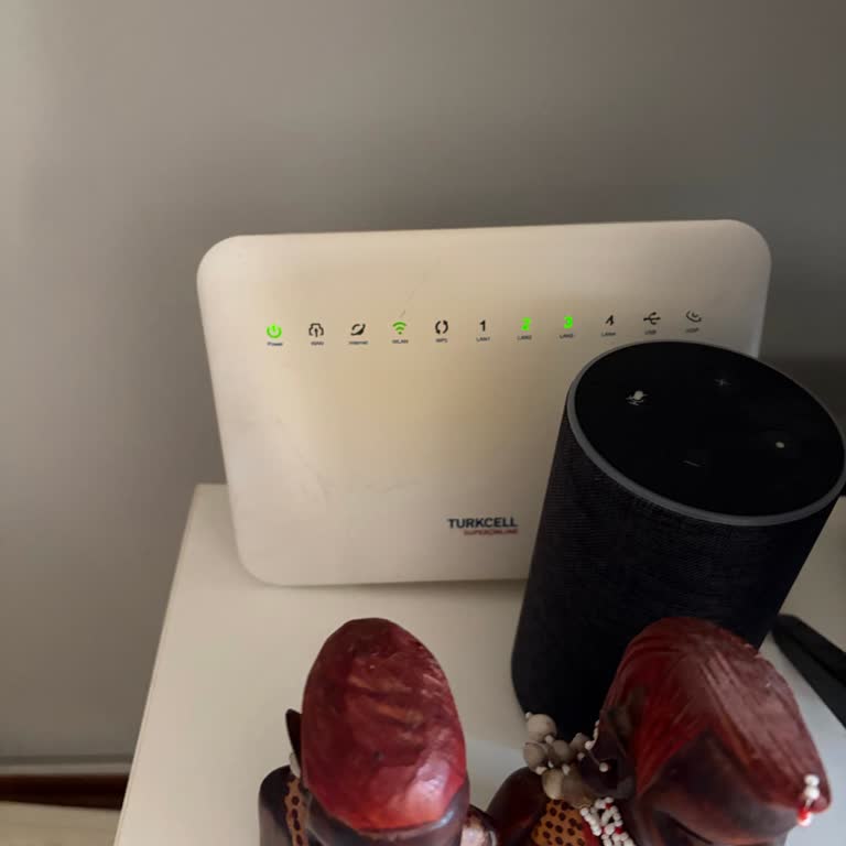 Ağustos'tan Bu Yana Sürekli İnternet Kesintisi Ve İş Mağduriyeti