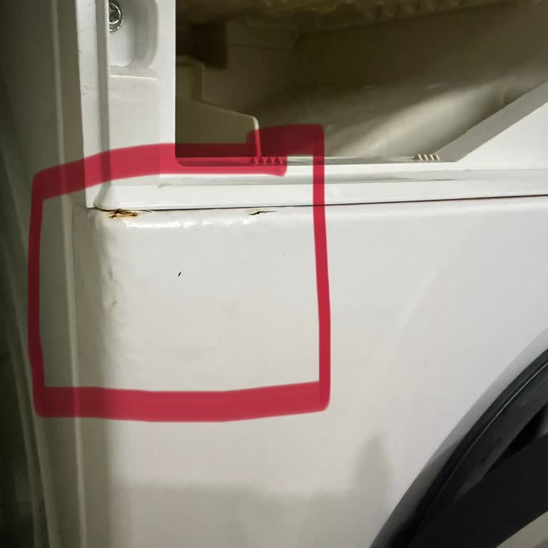 Bosch Çamaşır Makinemde Deterjan Haznesi Paslanması Ve Ücretsiz Onarım Talebi