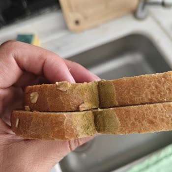Untad Tam Buğday Ekmeği Son Tüketim Tarihine Rağmen Küflenmiş