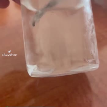 Suda Olan Cisim Kayın Su!