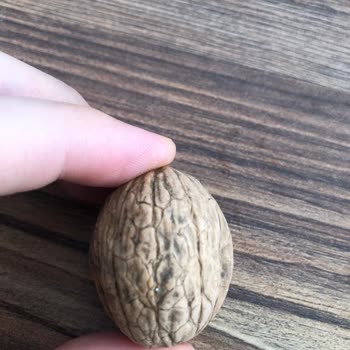 Müşteri, A101 Şubesinde Satılan Cevizin Küflü Olması Nedeniyle Sağlık Riski Ve İade Talebi