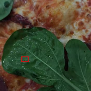 Sbarro’da Pizza İçinden Canlı Kurt Çıktı: Hijyen Skandalı