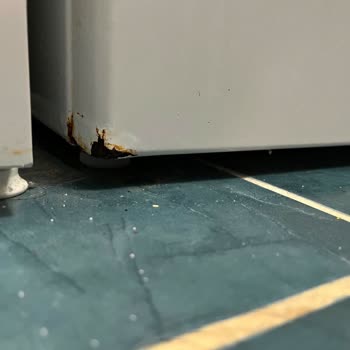 Bosch Ürünü Kısa Sürede Arızalandı Ve Değişim Talebi