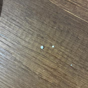 Dönerde Sert Cisim, Diş Kırılması Ve Alaycı Tavır