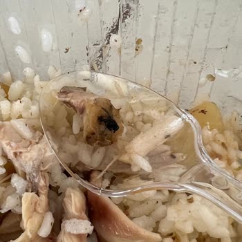 Tiamo Catering Yemekten Sinek Çıktı