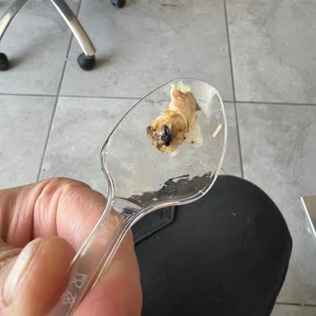 Tiamo Catering Yemekten Sinek Çıktı