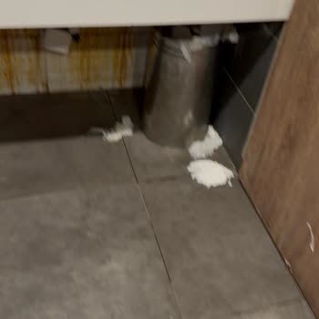 Petrol Ofisi Gaziemir Şubesinde Hijyenik Olmayan Tuvalet Şikayeti