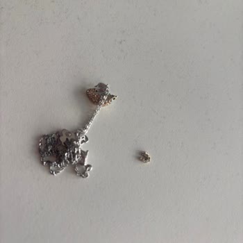 Swarovski Kuğu Kolyede Kronik Üretim Hatası Ve Garanti Dışı Mağduriyet