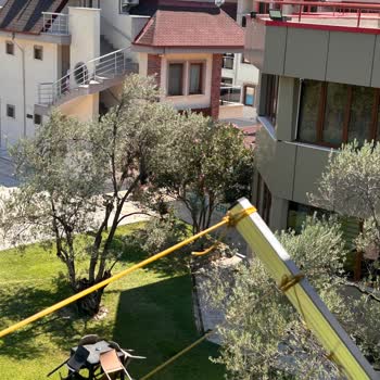 Engelli Aile İçin Yakın Odalar Talebi Reddedildi Ve Havuz Manzaralı Odada Güvenlik Sorunları