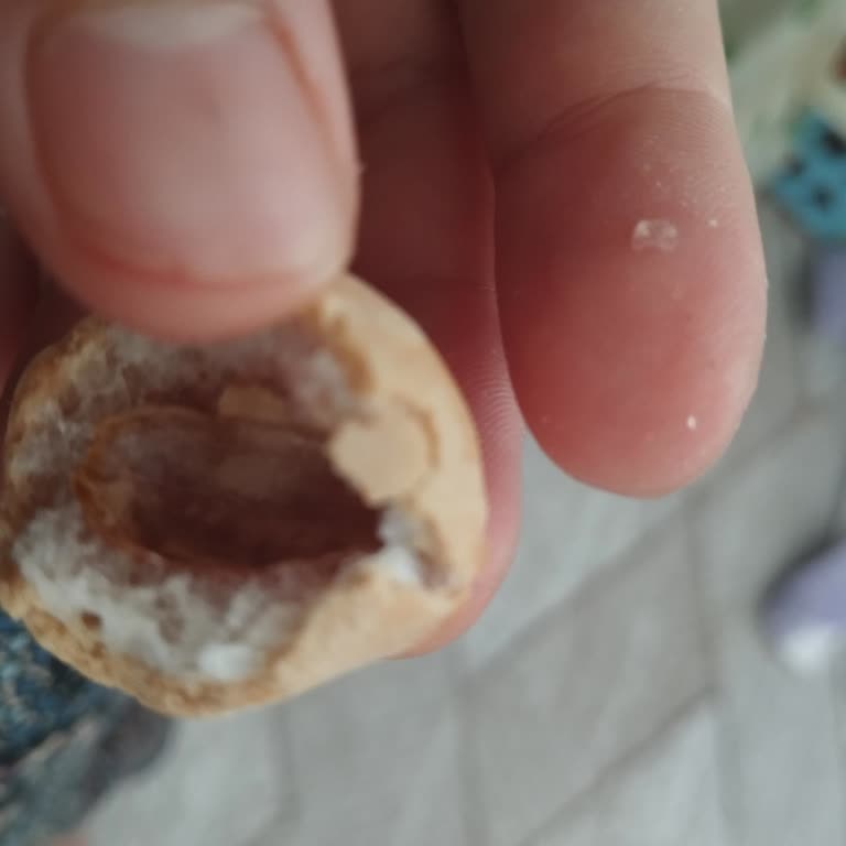Balıkesir Halktan’da Fıstık Toppy’de Cam Parçası: Sağlık Güvenliği İhlali