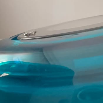 Dyson V12s Süpürgede Sürekli Filtre Tıkanıklığı Ve Göçük Gövde Sorunu