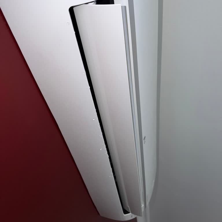 LG Klima Su Sızıntısı Ve Parça Eksikliği Nedeniyle Uzun Süreli Mağduriyet