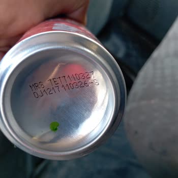 Coca-Cola Şişesinde Metal Parça Bulunması Ve Güvenlik Endişesi