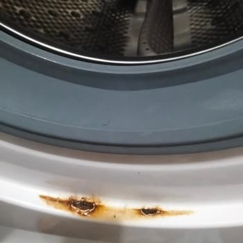 Vestel Çamaşır Makinesinde Tekrarlayan Küflenme Ve Ücretsiz Panel Değişimi Talebi
