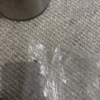 Kullanılmış Ve Böcekli Kahve Çay Makinesi Gönderimi Sağlık Riski