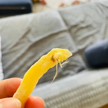 Donmuş Patateste Bozulma Ve Yabancı Madde: Fişsiz İade Talebi
