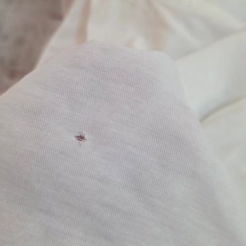 Beko Çamaşır Makinesi Ayıplı Ürün Kıyafetlerde Yırtılma, Renk Solması Ve 15 Bin TL Zarar