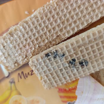Muzlu Gofretten Küf İzleri Ve Gıda Güvenliği Endişesi