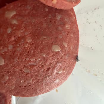 Kim Market’te Satılan Sucukta Canlı Sinek Ve Yumurta Keşfedildi