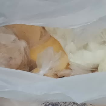 Bozulmuş Gıda Ürünlerinde Sağlık Riski Ve İade Talebi