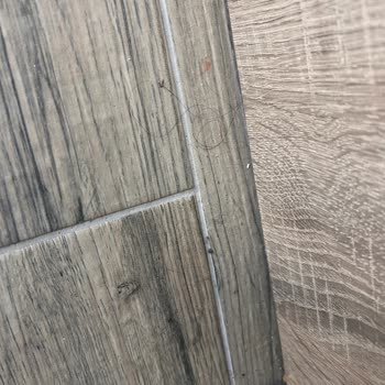 Banyodaki Su Sızıntısı Ve Hijyen Sorunları Nedeniyle Çocuk Yaralanması Ve Ücret İadesi Talebi