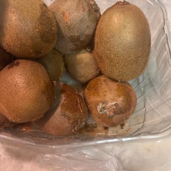 Migros Sanal Market Kivileri Bozuk Çıktı İade Ve Değişim Talebi