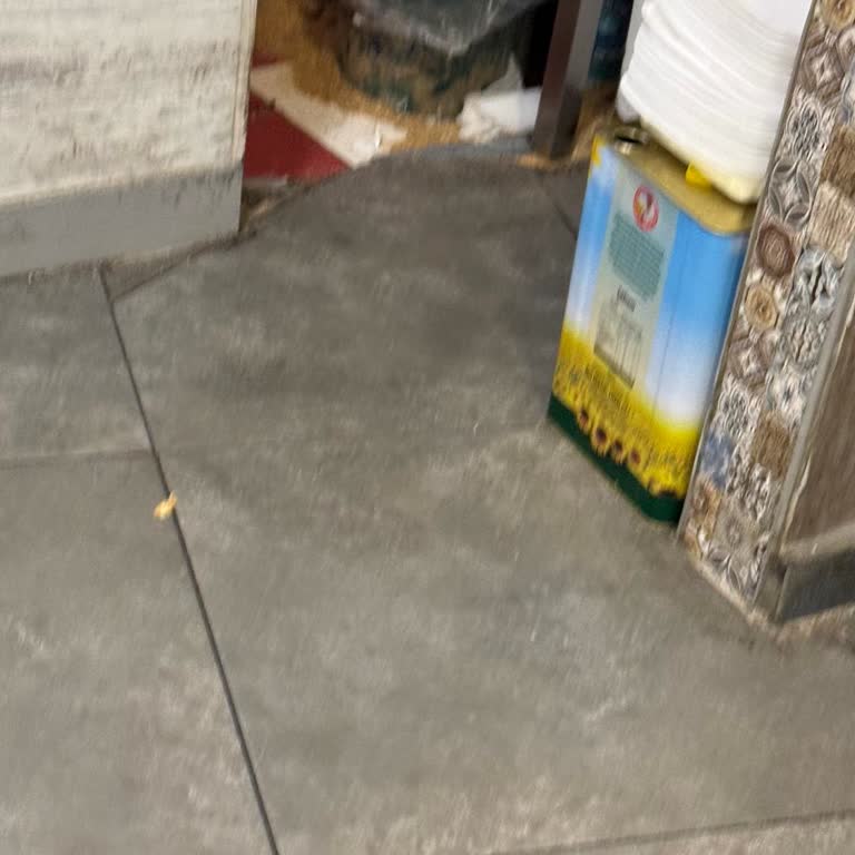 Papağan Çiğbörek Eskişehir’de Kaba Servis