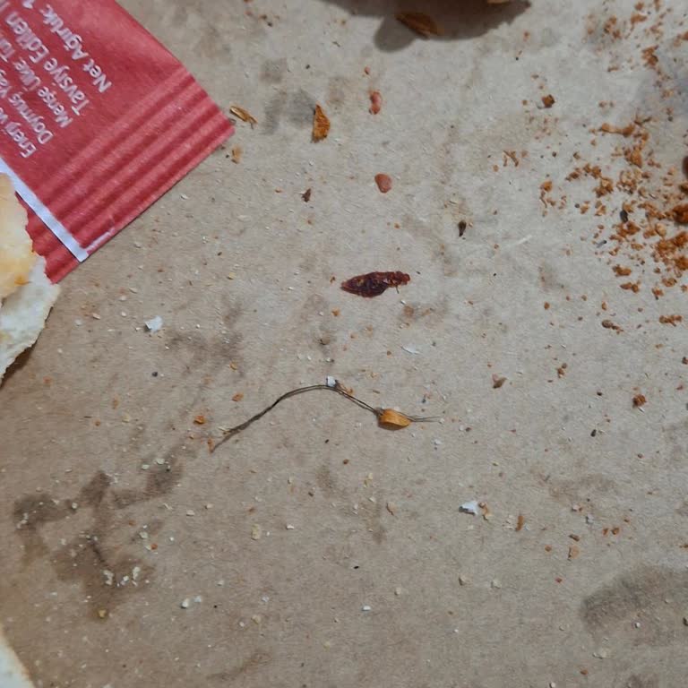 Domino’s Pizza’da Kıl Bulunması Hijyen İhlali Ve İade Talebi