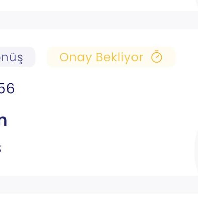 Feribotlines Bilet Onayı Gecikmesi Ve Tatil Mağduriyeti