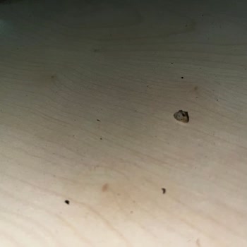BİM Çayında Toz, Çöp Ve Taş Bulundu