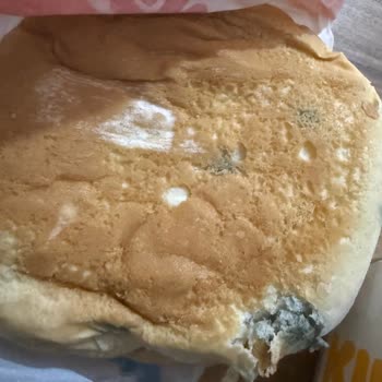 Getir'den Gelen Burger King Siparişinde Küflü Ekmeği Ve İade Reddi