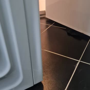 Ayıplı Onarım, Servis İhmal Ve Sigara İzmariti Bulunan Çamaşır Makinesinin Ücretsiz Değişimi Talebi