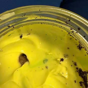 Milky Cup Hamburgerde Kurt Benzeri Parazit Ve Sahte Antep Fıstıklı Mug