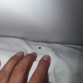 Otel Odası Hijyen Sorunları Ve Yanıltıcı Reklam Nedeniyle 11.700 TL İade Talebi