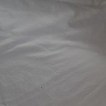 LCW Tişörtlerinde Erken Delik Problemi Ve Kalite Düşüşü