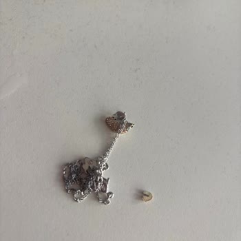Swarovski Swan Necklace Broke Due to a Known Design Defect