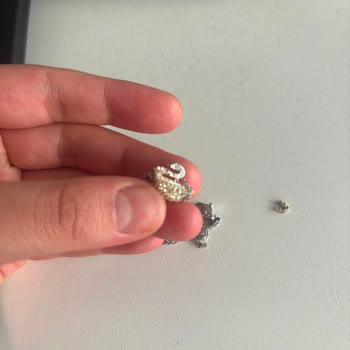 Swarovski Swan Necklace Broke Due to a Known Design Defect