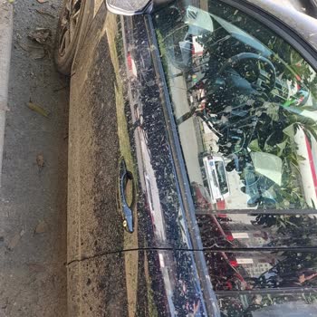 Araç Çamurla Kirlenmesi Ve İstasyon Personelinin Sorumluluk Almaması