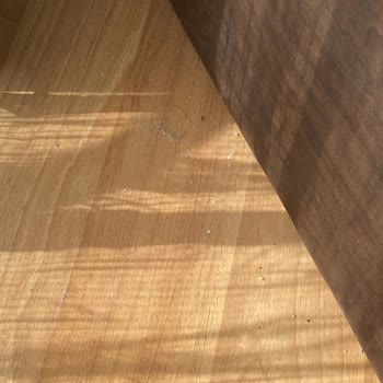 Otel Odasında Hijyen Eksikliği Ve Tatilbudur’un İade Reddi